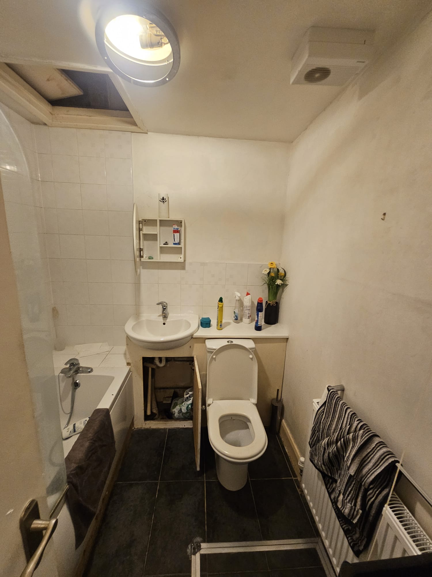Bathroom detail